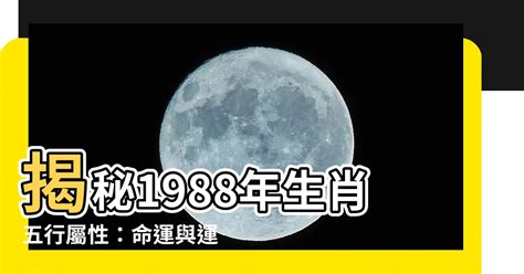 1988年屬什麼生肖